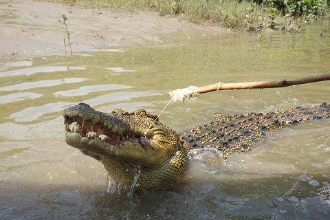 Litchfield And Jumping Crocodiles Full Day Trip From Darwin - Northern Rivers Accommodation 4