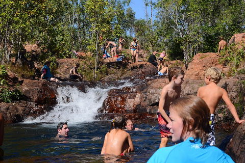 Litchfield And Jumping Crocodiles Full Day Trip From Darwin - Northern Rivers Accommodation 5