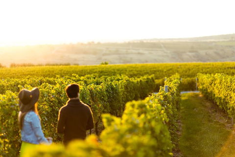 Margaret River Private Tour - Northern Rivers Accommodation 2