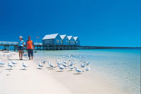 Margaret River And Geographe Bay Region Day Trip From Perth - Northern Rivers Accommodation 0