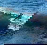 Great Ocean Road Highlights Tour - 2 Days 1 Night - Northern Rivers Accommodation