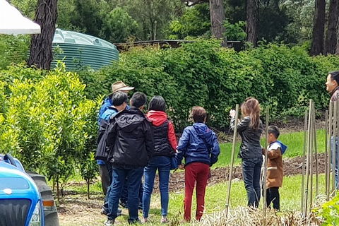 Dandenong Ranges And Rayners Orchard Tour From Melbourne - Northern Rivers Accommodation 4