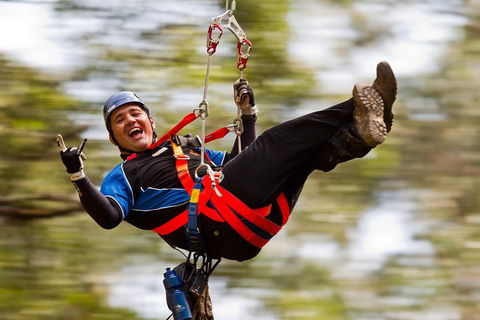 12 Apostles And Otway Fly Zipline Day Trip From Melbourne - Northern Rivers Accommodation 0