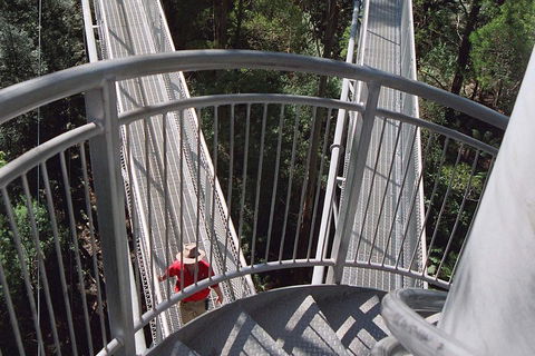 12 Apostles And Otway Fly Zipline Day Trip From Melbourne - Northern Rivers Accommodation 2