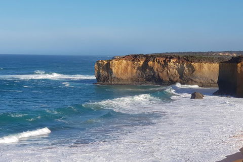 12 Apostles And Otway Fly Zipline Day Trip From Melbourne - Northern Rivers Accommodation 4