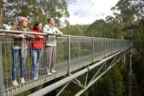 Adventure Sunset Three Day Great Ocean Road Tour - Northern Rivers Accommodation 0