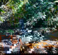 Aquaduck  Your choice of Gold Coast Rainforest Tour - Northern Rivers Accommodation