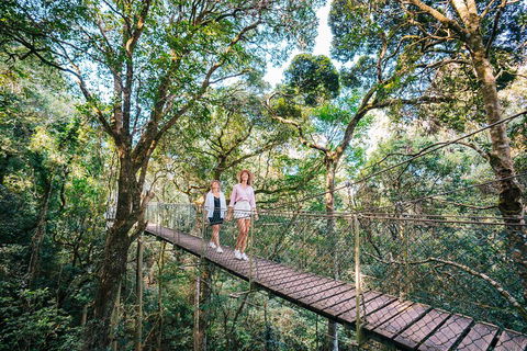 Aquaduck & Your Choice Of Gold Coast Rainforest Tour - Northern Rivers Accommodation 4