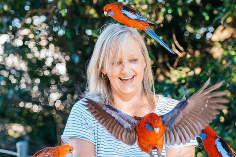 Aquaduck & Your Choice Of Gold Coast Rainforest Tour - Northern Rivers Accommodation 5