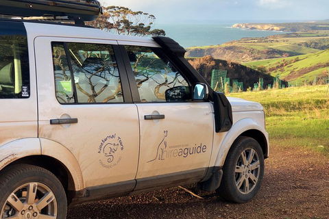 Kangaroo Island 4WD Tour - Best Of KI In 2 Days - Northern Rivers Accommodation 4