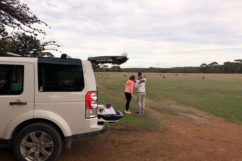 Kangaroo Island 4WD Tour - Flinders Chase - Northern Rivers Accommodation 3