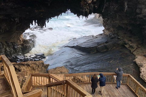 Kangaroo Island 4WD Tour - Best Of KI - Northern Rivers Accommodation 1