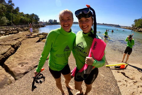 Manly Snorkel Trip And Nature Walk With Local Guide - Northern Rivers Accommodation 1