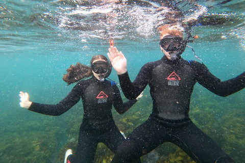 Manly Snorkel Trip And Nature Walk With Local Guide - Northern Rivers Accommodation 3