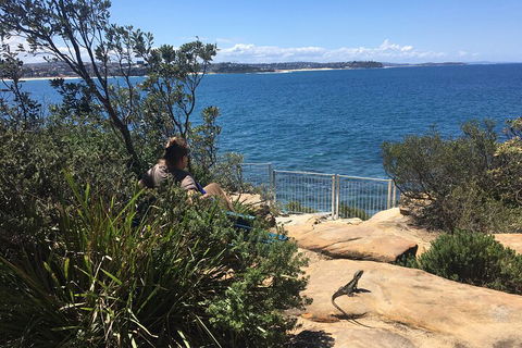 Manly Snorkel Trip And Nature Walk With Local Guide - Northern Rivers Accommodation 4