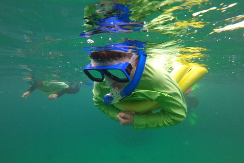 Manly Snorkel Trip And Nature Walk With Local Guide - Northern Rivers Accommodation 5