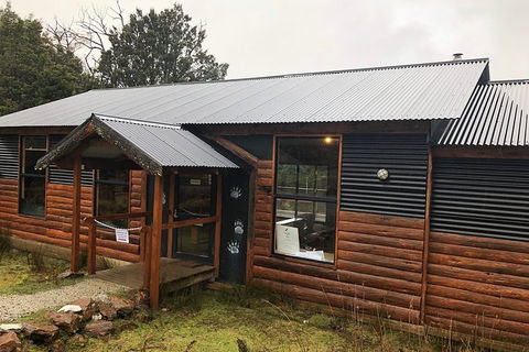 After Dark Tasmanian Devil Feeding Tour At Cradle Mountain - Northern Rivers Accommodation 3