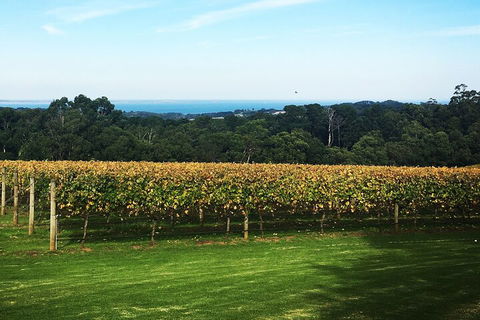 Yarra Valley Wine Tour Inc Lunch With A Glass Of Wine, Tastings And Chocolate - Northern Rivers Accommodation 2