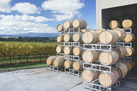 Yarra Valley Wine Tour Inc Lunch With A Glass Of Wine, Tastings And Chocolate - Northern Rivers Accommodation 4