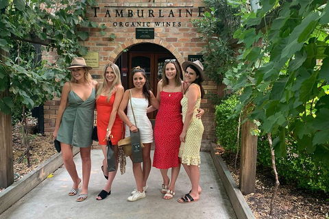 A Full Day Hunter Valley Wine Tasting Tour With Lunch And Tasting Fee's Included - Northern Rivers Accommodation 4