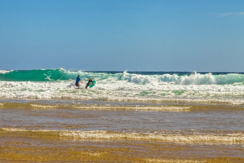 Full-Day Private Australian Wildlife Tour Of Phillip Island - Northern Rivers Accommodation 3