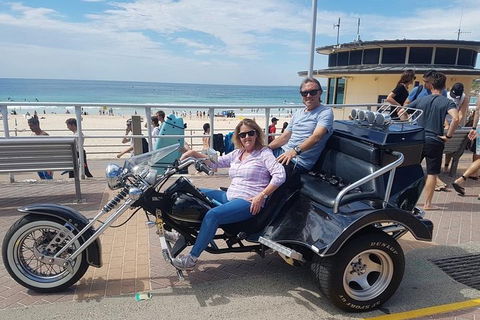 Bondi & Sydney Sights Trike Tour 1.5hrs - Northern Rivers Accommodation 0