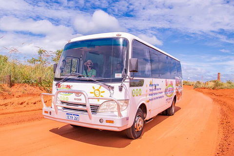 Malcolm Douglas Crocodile Park Tour Including Transportation - Northern Rivers Accommodation 3