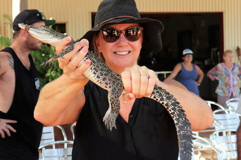 Malcolm Douglas Crocodile Park Tour Including Transportation - Northern Rivers Accommodation 4