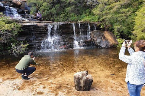 Blue Mountains Small Group Tour Enjoy A Sleep In, Waterfalls, Sunset & Dinner - Northern Rivers Accommodation 2