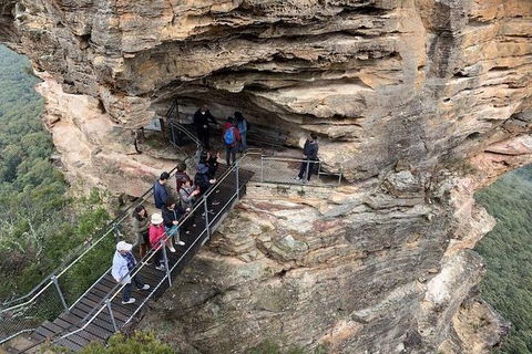PJ Blue Mountains Supreme Day Tour - Northern Rivers Accommodation 0