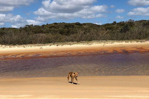 Pippies 3 Days 2 Nights Fraser Island Tour - Northern Rivers Accommodation 2