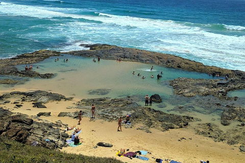 Pippies 3 Days 2 Nights Fraser Island Tour - Northern Rivers Accommodation 5