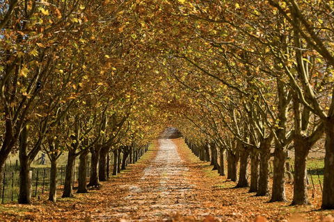Private Southern Highlands Day Trip From Sydney Including Fitzroy Falls - Northern Rivers Accommodation 4