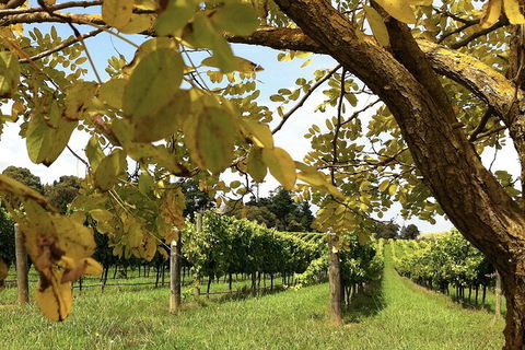 Private Southern Highlands Day Trip From Sydney Including Fitzroy Falls - Northern Rivers Accommodation 5