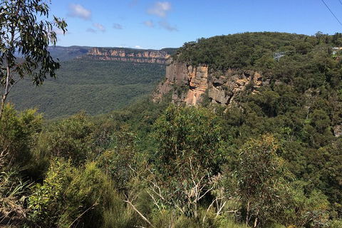 Full-Day Private Blue Mountains Tour With River Cruise - Northern Rivers Accommodation 1