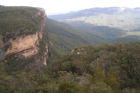 Full-Day Private Blue Mountains Tour With River Cruise - Northern Rivers Accommodation 3