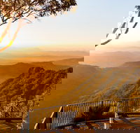 O'Reilly's  Lamington National Park incl. Alpaca Farm  Vineyard - Northern Rivers Accommodation