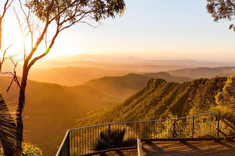 O'Reilly's & Lamington National Park Incl. Alpaca Farm + Vineyard - Northern Rivers Accommodation 0