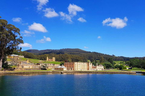 Tasmania 4 Day East Coast + Launceston - Northern Rivers Accommodation 0