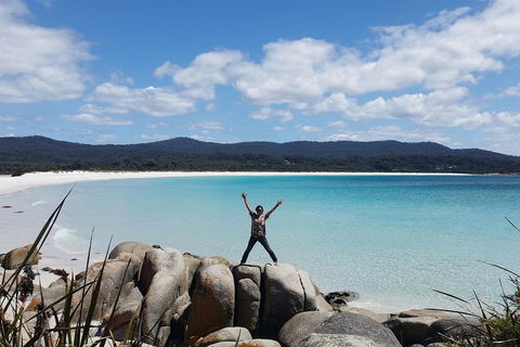 Tasmania 4 Day East Coast + Launceston - Northern Rivers Accommodation 1