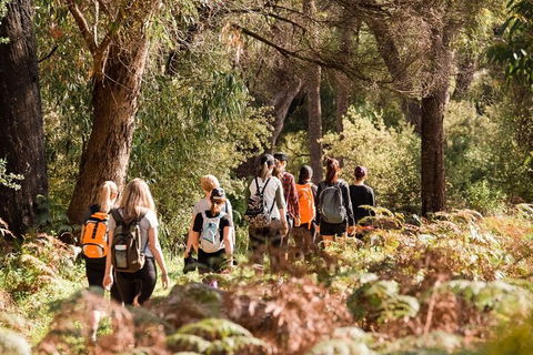 Half-Day Yanchep Ghost House Wilderness Guided Hike Tour - Northern Rivers Accommodation 0