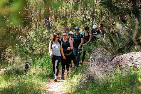 Half-Day Yanchep Ghost House Wilderness Guided Hike Tour - Northern Rivers Accommodation 3