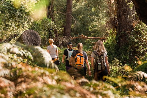 Half-Day Yanchep Ghost House Wilderness Guided Hike Tour - Northern Rivers Accommodation 5
