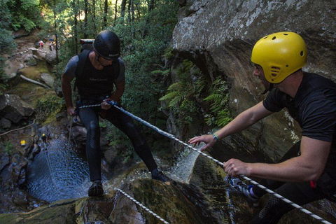 Blue Mountains Empress Canyon Adventure From Wentworth Falls - Northern Rivers Accommodation 2