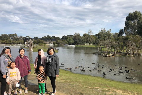 Phillip Island Penguins Private Tour - Northern Rivers Accommodation 1