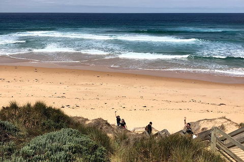 Phillip Island Penguins Private Tour - Northern Rivers Accommodation 4