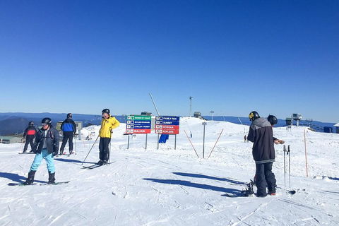 Mt Buller Snow Private Tour - Northern Rivers Accommodation 1