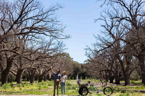 Adelaide 90-Minute Pedicab Tour: Scenic Green & River Experience - Northern Rivers Accommodation 1
