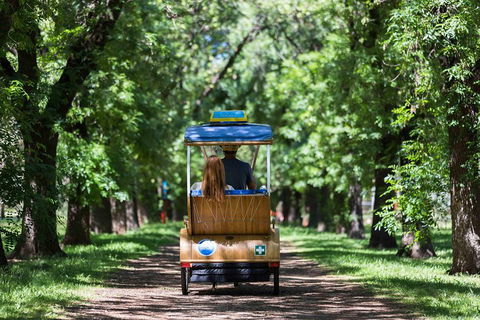 Adelaide 90-Minute Pedicab Tour: Scenic Green & River Experience - Northern Rivers Accommodation 2