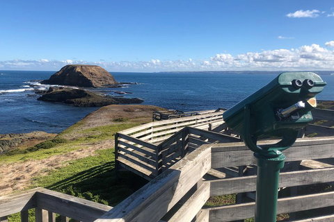 Private Phillip Island Tour - Northern Rivers Accommodation 4